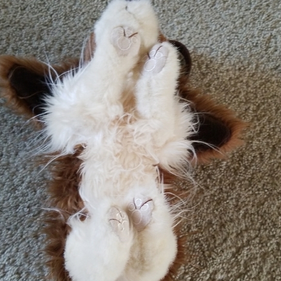 puppy love pocket book - Picture 4 of 5